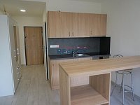 Pronájem větší garsonky na sídl. Vltava 27m2 - garsonka