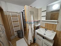 Pronájem bytu 2+1 65m2 v Neplachově ul. - koupelna