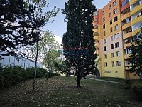 Pronájem zrekonstruovaného bytu lodžie 1+1 (2+0) - dům