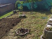 Prodej chaty 2+1 v obci Hruška - Foto 28