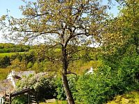 Prodej domu se stavební parcelou v Opatovicích - Foto 20