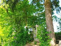 Prodej domu se stavební parcelou v Opatovicích - Foto 21