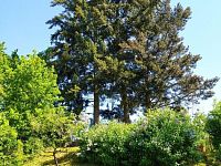 Prodej domu se stavební parcelou v Opatovicích - Foto 23