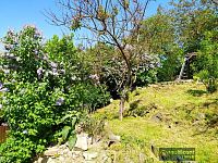 Prodej domu se stavební parcelou v Opatovicích - Foto 28