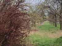 Prodej stavebního pozemku na řadový RD v obci Viničné Šumice - 1000039704.jpg