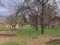 Prodej stavebního pozemku na řadový RD v obci Viničné Šumice - Foto 3