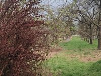 Prodej stavebního pozemku na řadový RD v obci Viničné Šumice - Foto 5