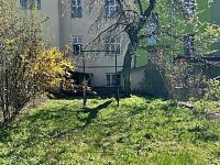 Bydlení i investice v jednom | dům s potenciálem a parkováním u domu - IMG_4960.jpeg