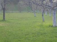 Prodej stavebního pozemku Holštejn, okres Blansko - 1000040835.jpg