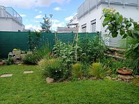 Moderní byt 2kk s terasou a zahrádkou 85m2 a parkovacím stáním v Bučovicích - Vícemilicích - zahrada1