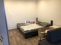 Pronájem bytu 1+1 se 2 lodžiemi, Olomouc - ul. Pionýrská - Foto 8