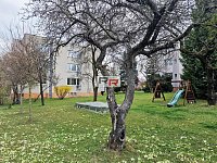 Pronájem bytu 2+1/L v Olomouci - ul. Skřivánčí - Foto 21