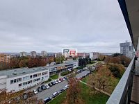Pronájem bytu 1+1 se 2 lodžiemi, Olomouc - I.P.Pavlova - 20241112_101914.jpg