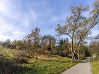 Pozemek 774 m2, Všechlapy, okr. Benešov,  - Foto 3