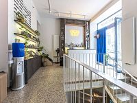 Prodej KP 157 m2 s výlohou, Wuchterlova ul., Dejvice - Foto 4