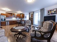 Pronájem 3+kk/T/S/G, 110 m2, ul. Šlikova, Praha 6