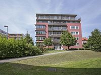 Pronájem č. zařízeného 3+1 v lokalitě Na Palouku - Strašnice - Foto 15