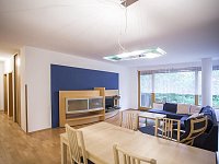 Pěkný zařízený/částečně zařízený 3+kk/100 m2/B/G - Foto 2