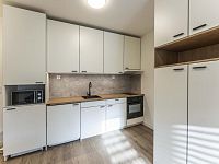 Krásný 1+kk/30m2, Nusle