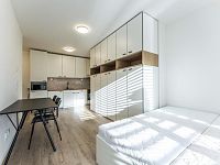 Krásný 1+kk/30m2, Nusle - Foto 2