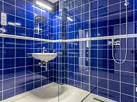 Pronájem zrekonstruovaného bytu 2+1 v srdci Prahy  Vinohrady, Italská ulice - DSC00380.jpg