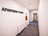 Pronájem bytu 1+kk, 24,.5 m2, Praha 8 Karlín - 8. LUK_8818 small.jpg