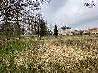 Lukrativní pozemky o výměře 4 752m2 v lázeňské části města, Františkovy Lázně - fotografie