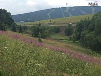 Pozemek 6.354 m2, obec Loučná pod Klínovcem, kat. území Háj u Loučné pod Klínovcem - fotografie