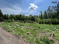 Prodej lesa, OV, 1 948 m2, Kadov - Pole, okres Strakonice - fotografie