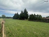 K prodeji stavební pozemek, OV, 12 000 m2, Velký Bor u Horažďovic - IMG_3057.jpeg