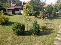 Prodej zahrada plocha 400 m2, Droužkovice - DSCF6916.JPG