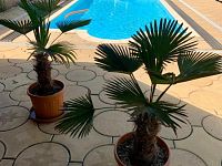 Komerční objekt 2.495 m2, ul. Albrechtická, Most - Foto 16