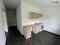 Pronájem bytu 2 + 1 s lodžií, ul. Podkrušnohorská, Horní Litvínov, Litvínov, 55 m2 - stažený soubor.jpg