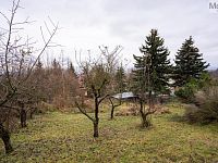 Zahrada 622 m2, Horní Jiřetín - DSC08395.jpg