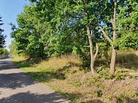 Prodej pozemku 8492 m, Hřbitovní, Horní Jiřetín. - fotografie