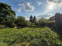 Prodej zahrady 411 m2 se zděným domkem 32 m2, Loučná u Lomu, okres Most - Foto 3