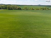 Pozemek 17476 m2, obec Lovosice - Foto 6