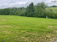 Prodej, pozemky, 33045 m2, Palačov, Starý Jičín - Foto 4