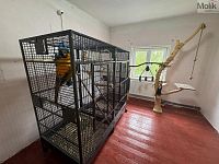 Rodinný dům, ul. 1. Máje, Úštěk - Foto 12