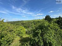 Zahrada obec Evaň - Foto 15