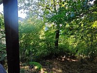 Prodej chaty s pozemky, Brná, Ústí nad Labem - ad6b782b-051e-4d73-9e62-959efdc4068f.jpeg