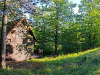 Prodej chaty s pozemky, Brná, Ústí nad Labem - b29cbc28-e1a0-49b7-8124-ce148d11754c.jpeg