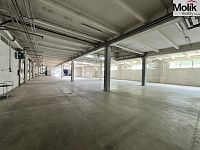 Prodej skladového prostoru 7300 m2, plocha areálu 30000 m2 - Foto 6