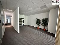 Prodej skladového prostoru 7300 m2, plocha areálu 30000 m2 - Foto 23