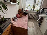 Byt 4+1 + B, ul Albrechtická, Most - Foto 9