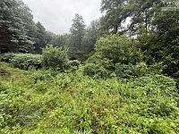 Chata s rozsáhlým pozemkem, Sebuzín, Ústí nad Labem - Foto 23