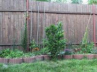 Zahrada Chabařovice - Foto 13