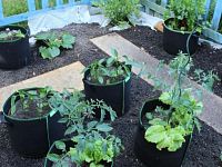 Zahrada Chabařovice - Foto 16