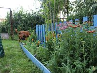 Zahrada Chabařovice - Foto 19