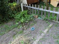 Zahrada Chabařovice - Foto 21